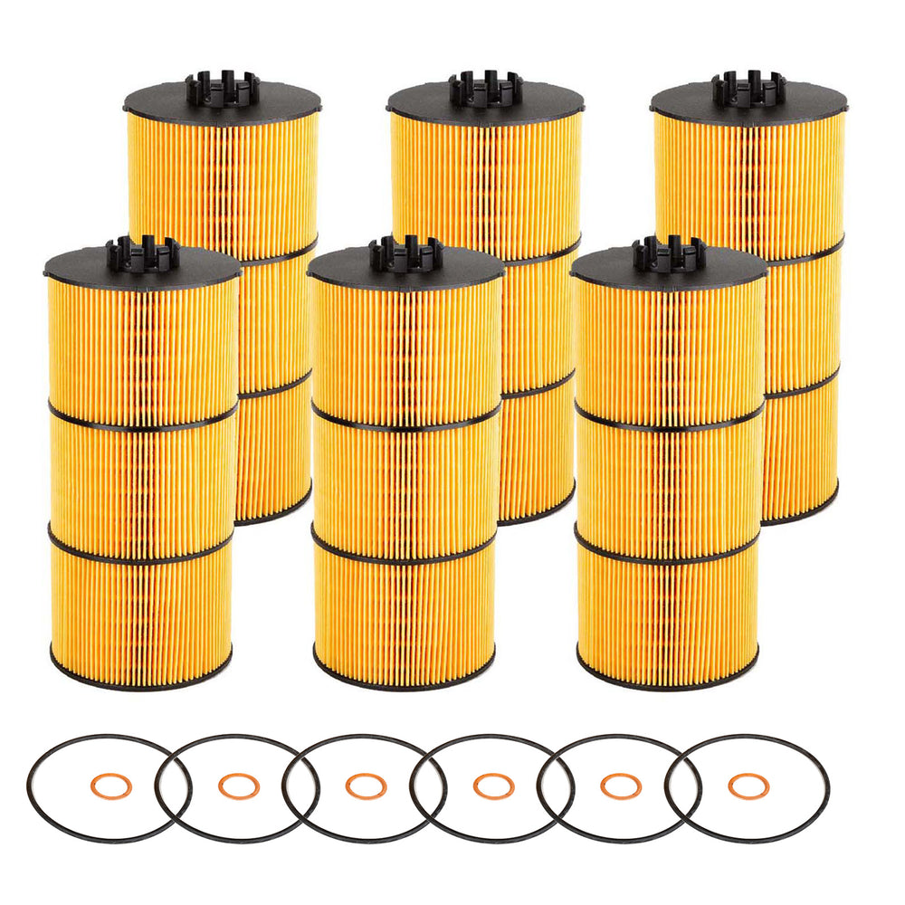 
                      
                        (6Pcs)Oil Filter P551005 Fits Freightliner Replaces A4721800109 LF17511
                      
                    